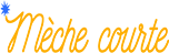 logo des courts métrages Mèches courtes