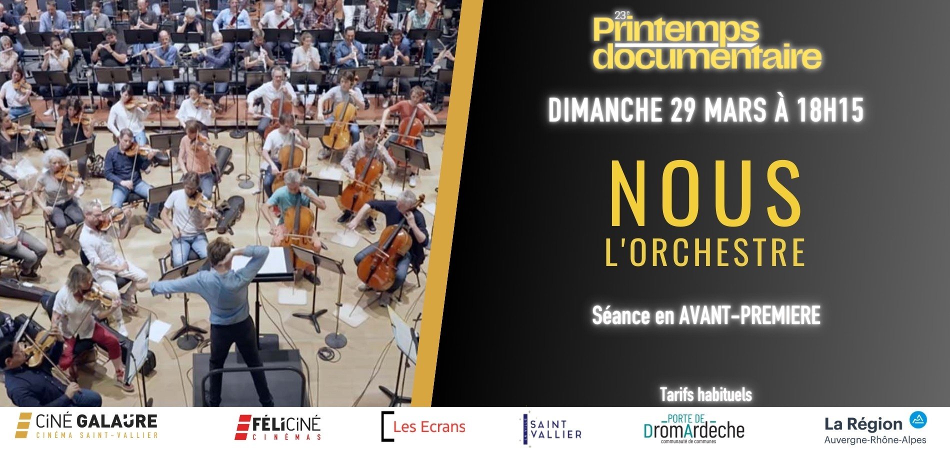 actualité Nous l'orchestre - Printemps Documentaire