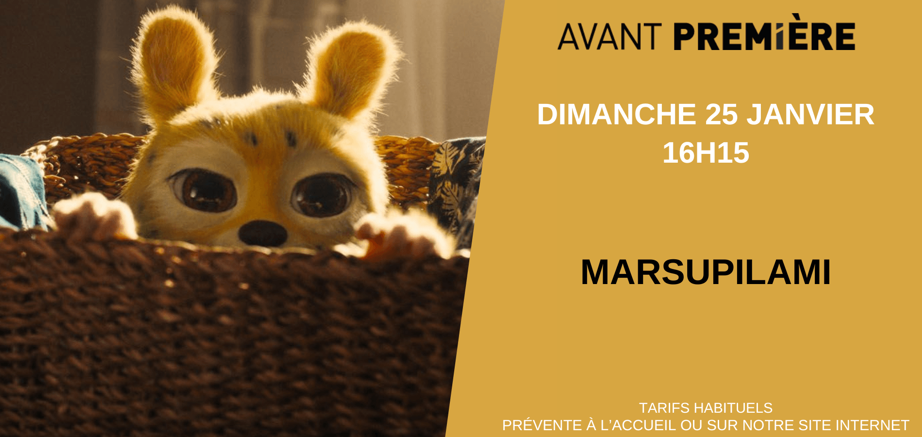 actualité AVP Marsupilami