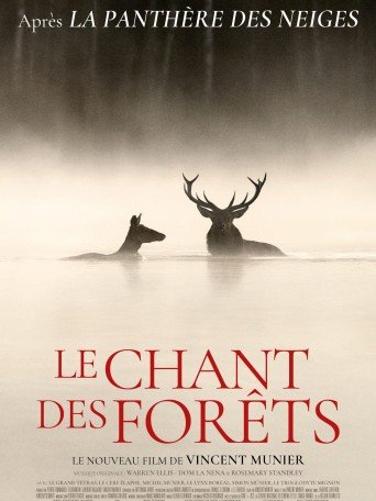 LE CHANT DES FORÊTS