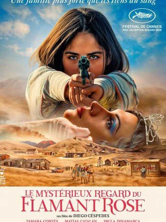LE MYSTÉRIEUX REGARD DU FLAMANT ROSE